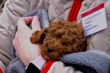 �����, ������������ � ������ ������ � ���������, �������� �����