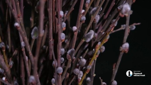 ��� ������ �������� � ����������� ������� ������� ������� �����������