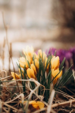 ���� ����������!. �������� ��������� ��������� � ���� ���������� �������� ���