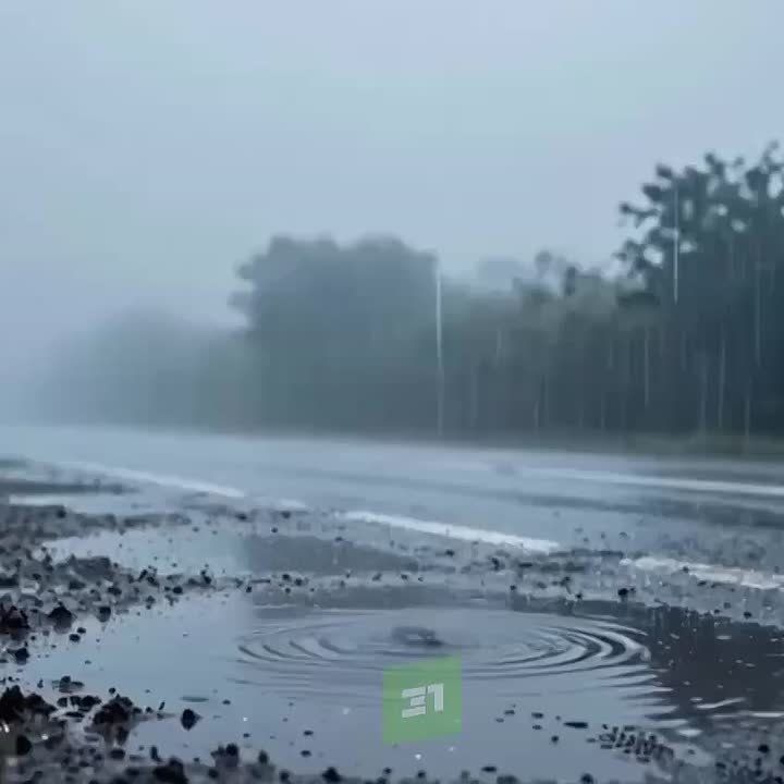 ������� ����� ������� ������