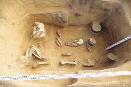 ����� ������������ ����������� ������ �������� �������� ������ �� ����������