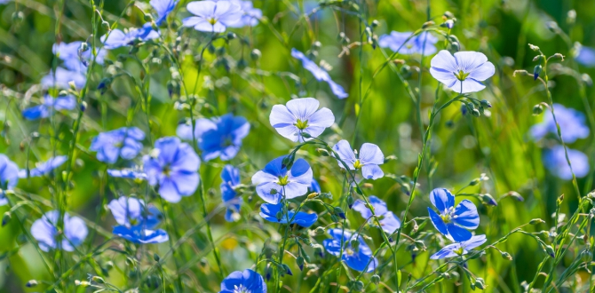 Среди цветов: настоящие синие оттенки в саду