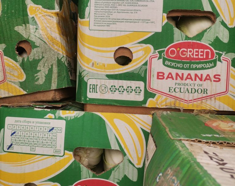 ����� 35 ���� ��������� ������ � ������� �� ���������� � ����������� �������