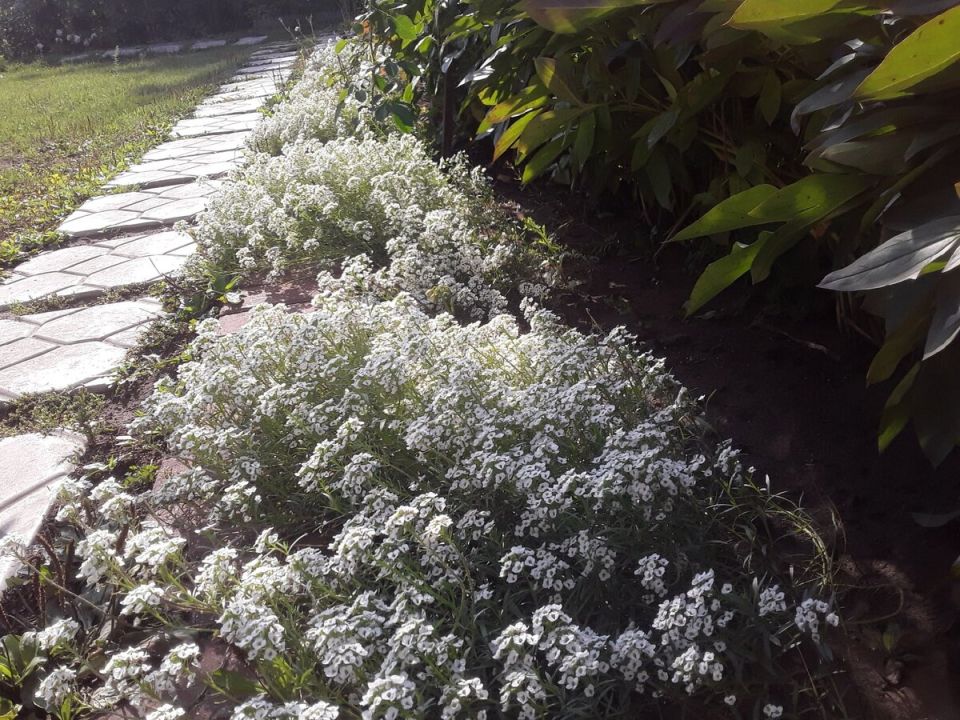 ��� ������� ��������� ��� �������� ����� ������� � ��������� ��������?