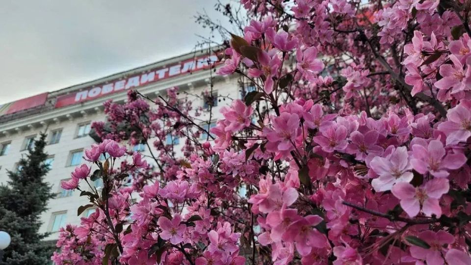 ������� ��������� 2026: ��� ����� �������� � �������� ������ ����������