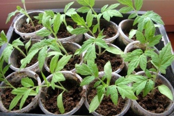 ������� ��������� ����� ������� ���������: ����� � ��� �������������