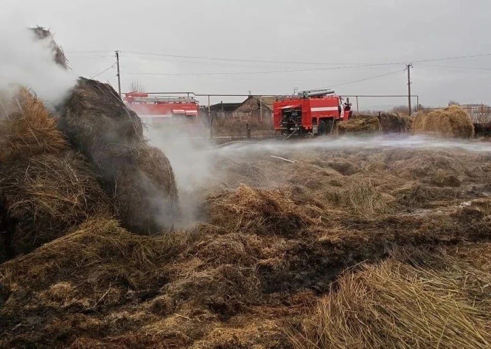 �������� �������� �����: � ������� ����������� ������� ���������� ������� �������������