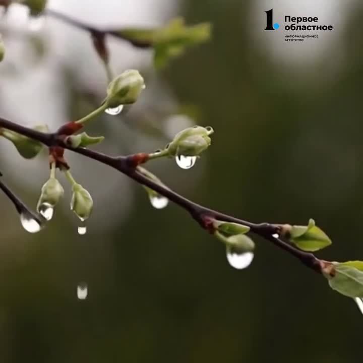 ������ ���� � ����������. ����� ��� �������� ����� ������ ������, � �� ����� ����� +5��