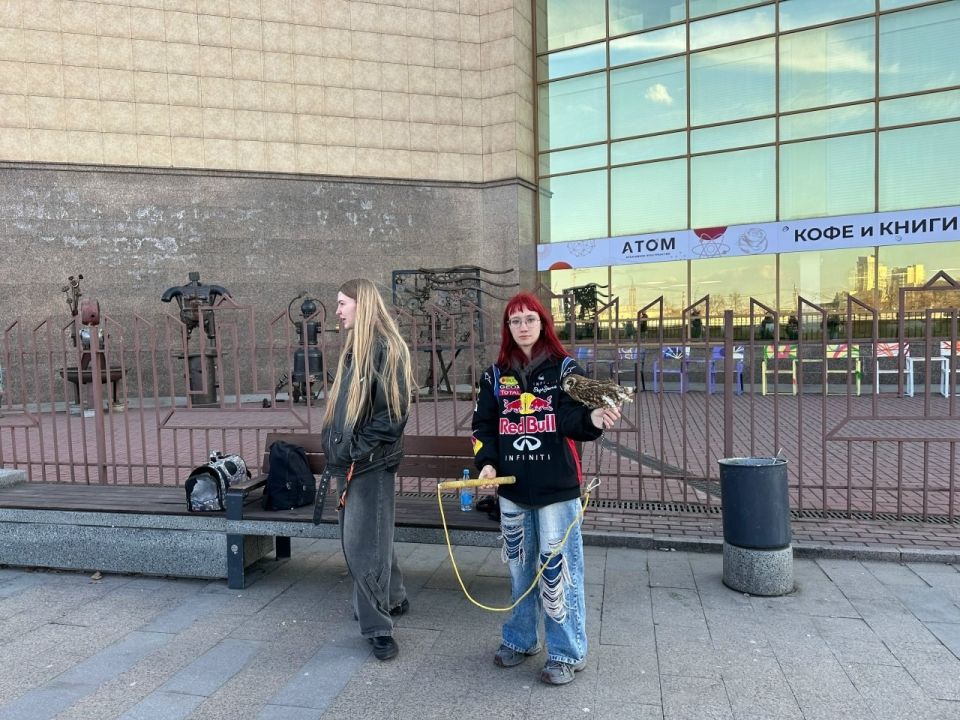 ���� ������� � �������: � ���������� �� ���������� ����� ������������ ���������-��������