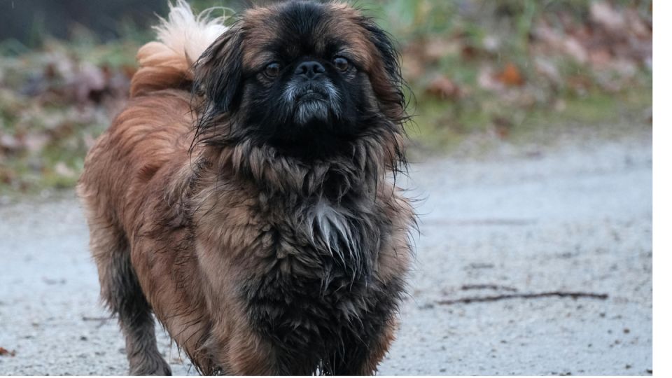 �������� ������� � ���������� � ����������� ������