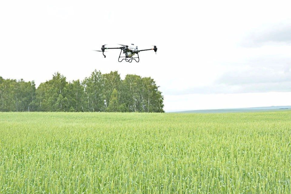 ������� ����������� ������� ��������� ���������� � ������� ���� 9 ����� ��������