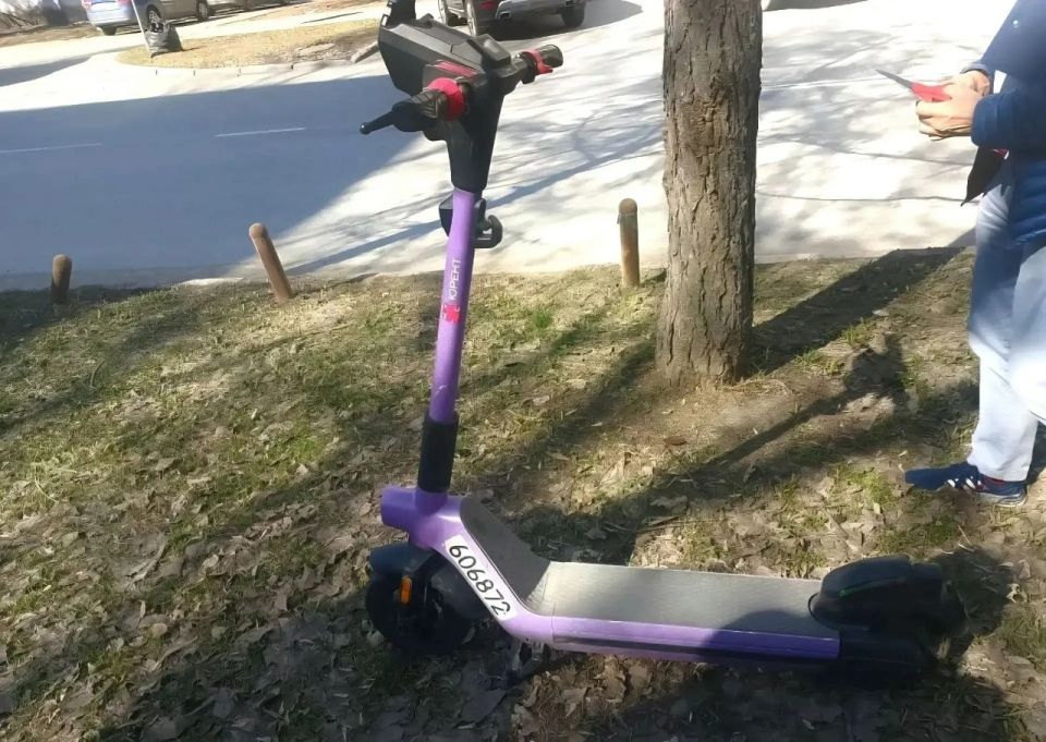 ��������-���������� ���������� �� �����������