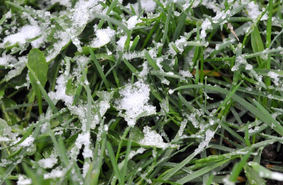 ������ ������� ������������: �� ����� ����� ���������� �� -6, ������ ����, � ����� ����� ��������� �� +20