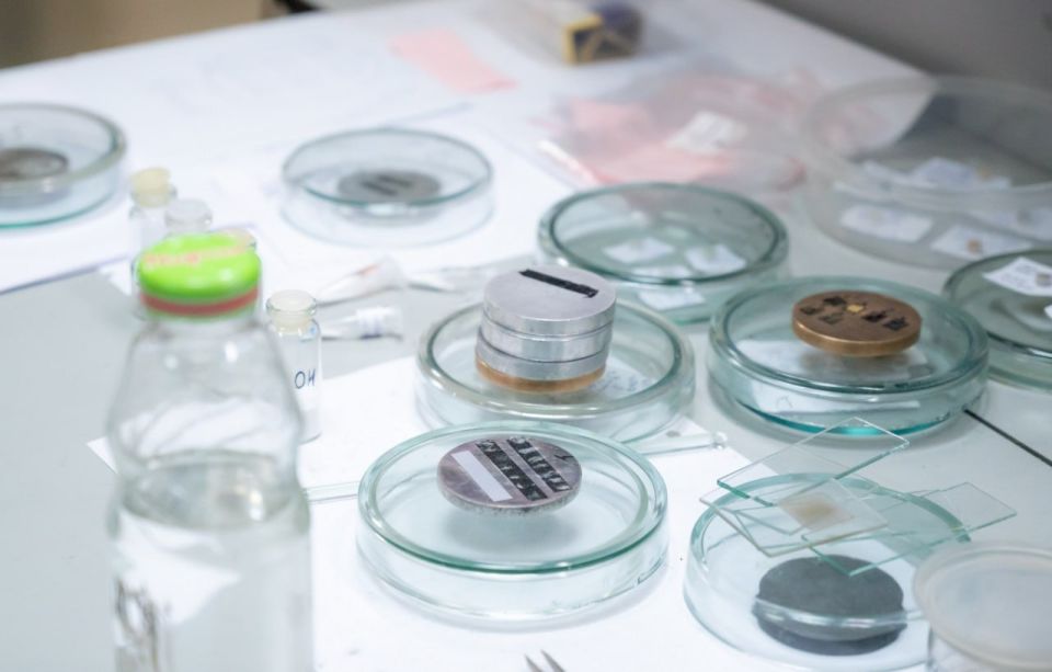 ���������� ������������ �� ������� ����������� ����� �� �������������