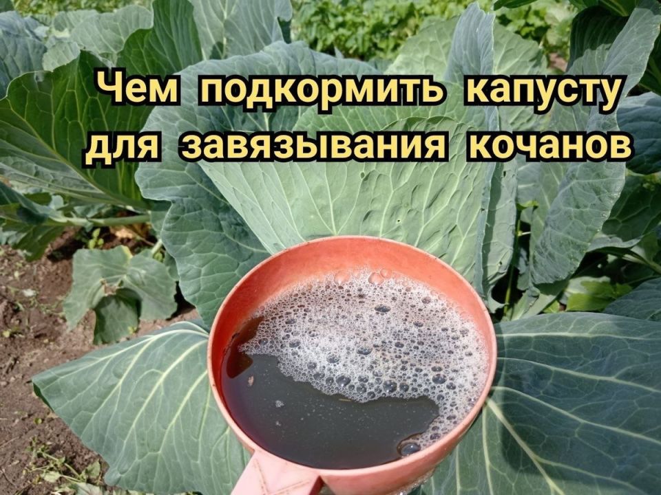 ��� ��������� ������� � ������� ������ ������� � ������� ����������� ���������