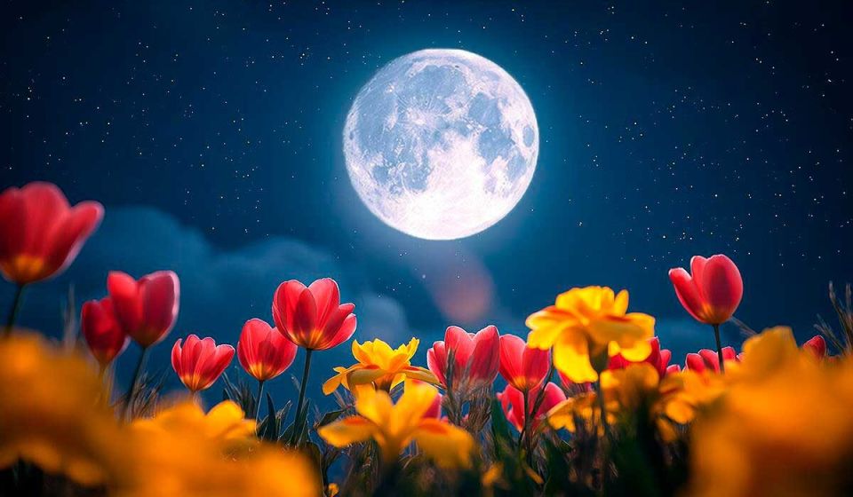 ������� ����������: ��� ��������� ���� ���������� ����� ������ �������