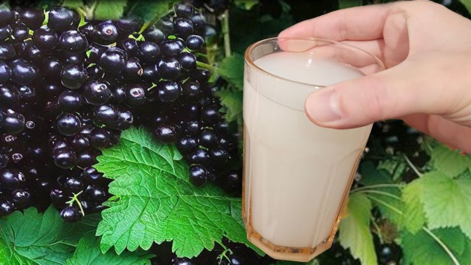 ��� �������� ������� � ������� ��������� � ������� ����� �������� ���������