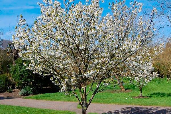 ��������� �����: ������� ������ ��� ������ ����