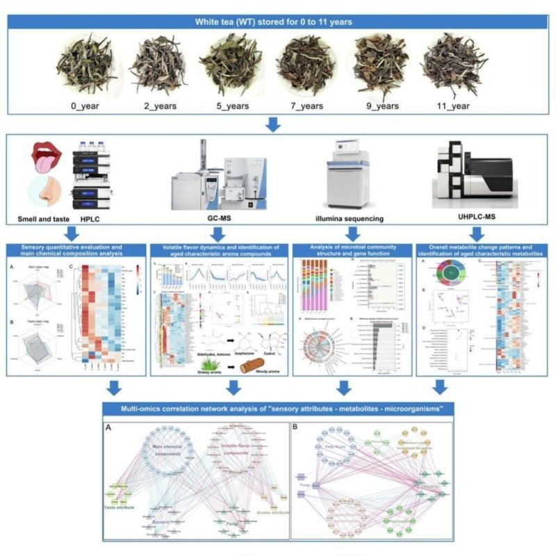 ��� ������� ��� ������