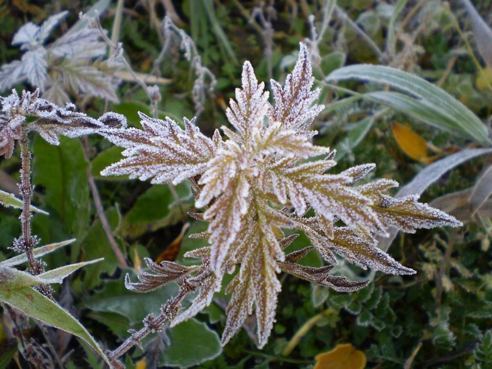 ��� ������� ������������� ������� ��� ������ ����: ������ � ������������