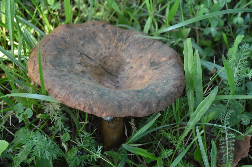 �������: ��� �������� ��������� �� ������� ������