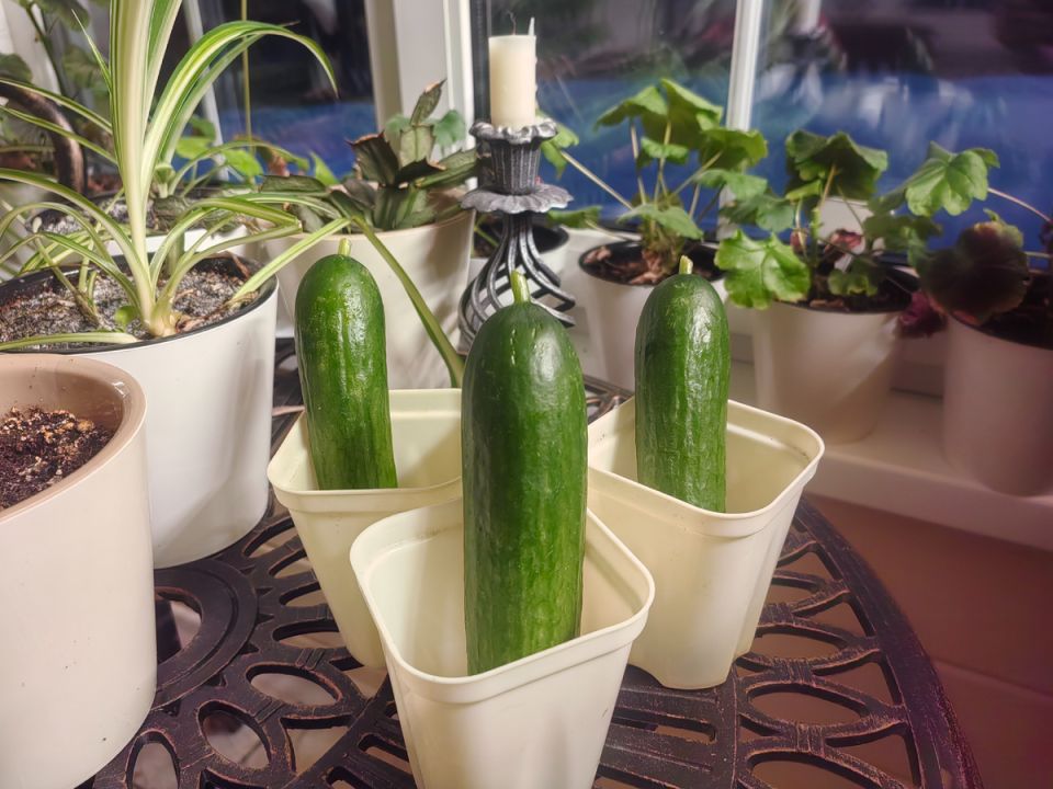 ��� ��������, ��� ����� ���������� � ������ �������