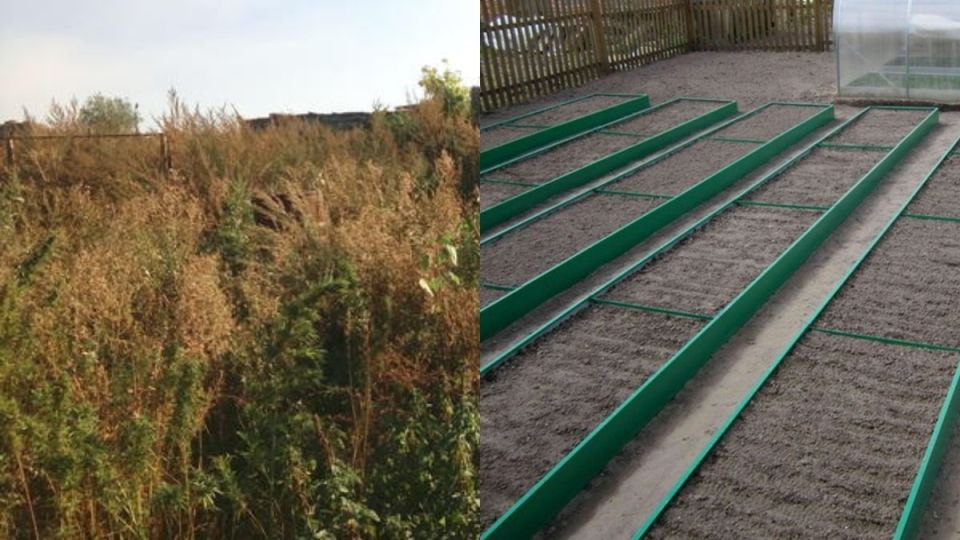 ������������ ������������ �������: ��� ������� �������� ������ ����� �� ��� ������