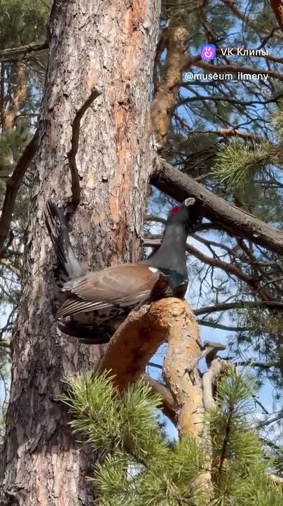 � �� �������, ��� ������ �������? ��������� ����!