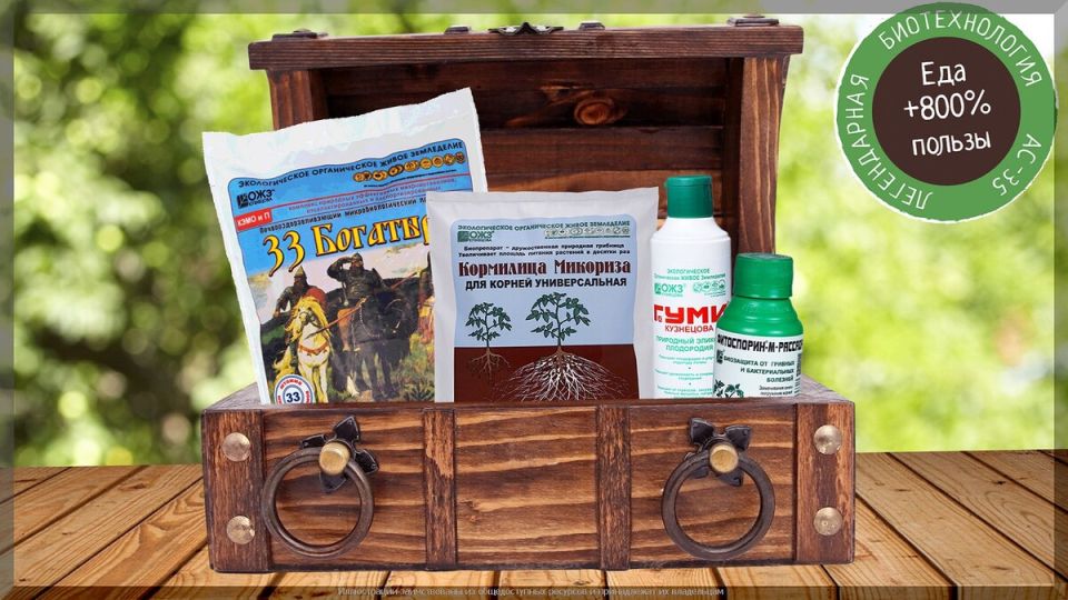 ���� ����� ���� ������-��������� ������������: 35 ���������� �������� � �������