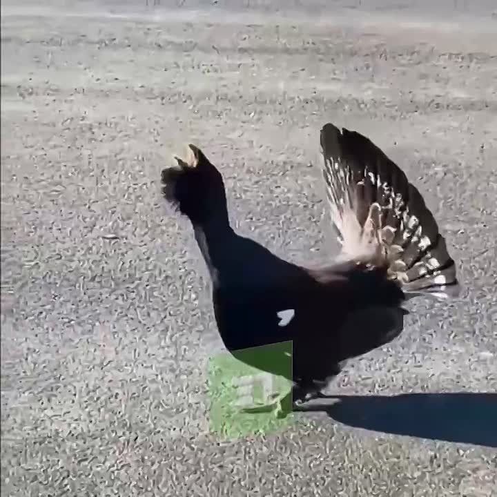 ������� ������ � ����� � ������� ��������