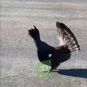 ������� ������ � ����� � ������� ��������