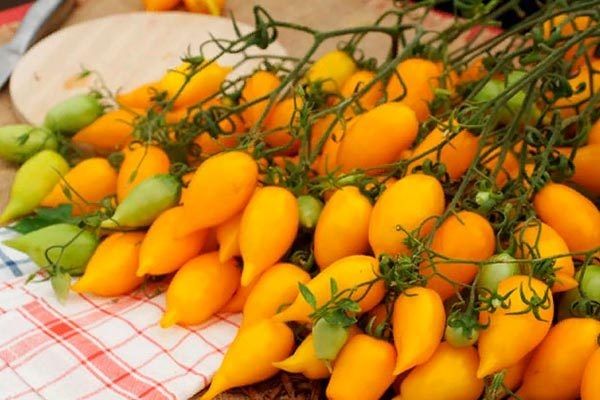 ������ �������: ��� ��������� ������� � ������ ����� �� ����� �������