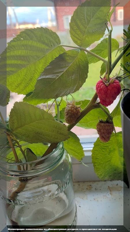 ������� � ����: �������� ������ ��� ���������� � ����