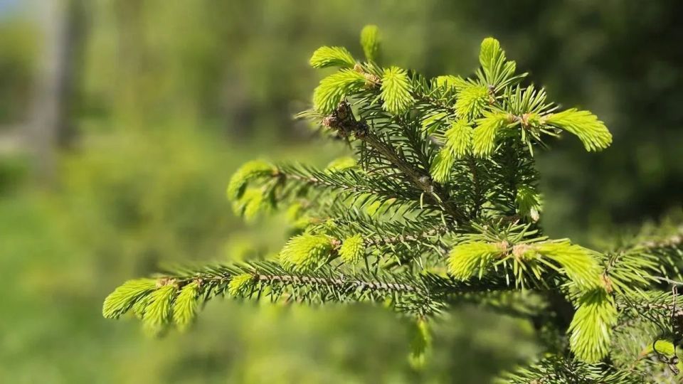 � ����������� ������� � �������� ��������� �� +22�C � ��������� �����