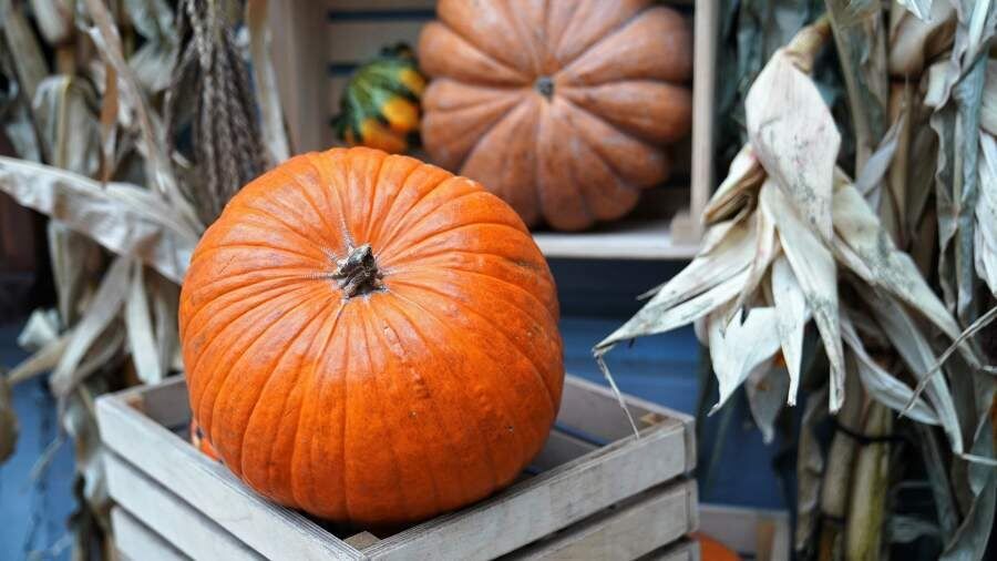 ��������� ����: ��� ����� ����������� �� ��� � ����������