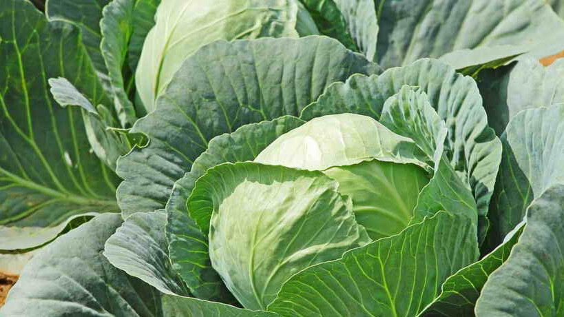 ��� ���������� �������, ����� ��� �����, ��� �� �������