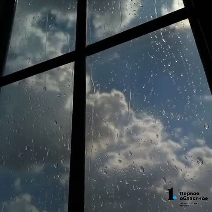 ��������� �����������. ����� � ���������� +4��