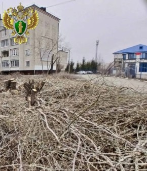 ������ �. ������������ ���������� ����� ����� �� ���������� ����� �������� � ����������� � ������� �������