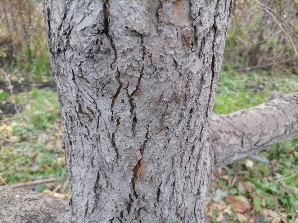 ������� ��������: ������� ������� ���������� ������� ��� ������ � ������