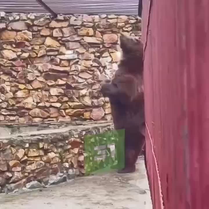 ������� ������ ��������� �������� � ���������