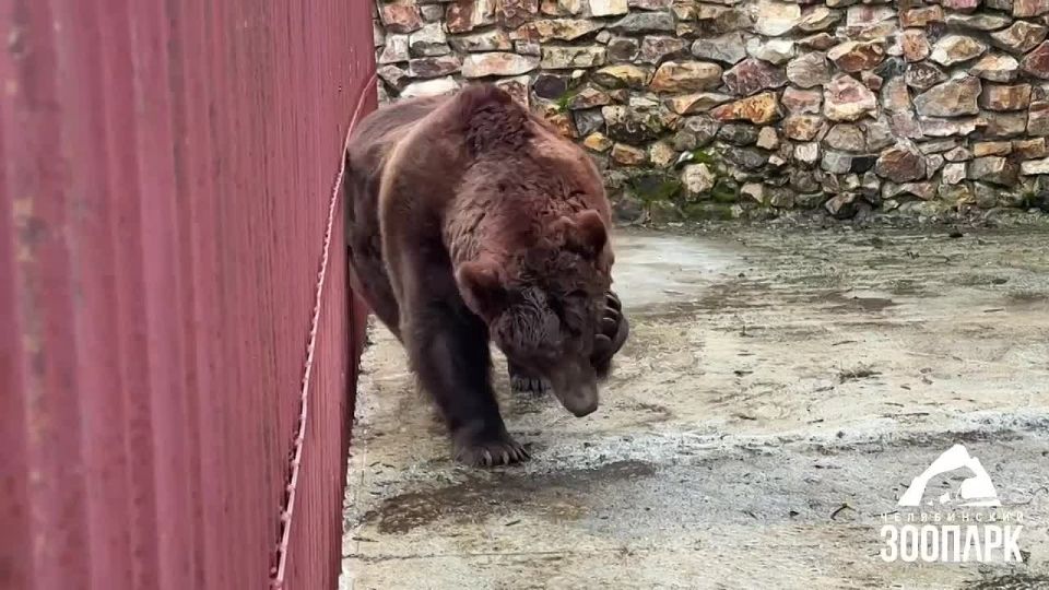 ������� ������. ���������� ���������� ������� � �������� �� �������