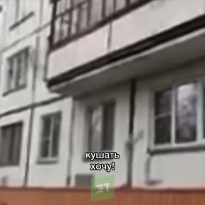 ����� ������!� �� ����, ������� ������� �������-��������, ������ ��������� ����