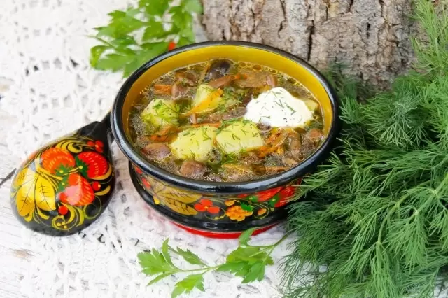 Ароматная грибовница на каждый день