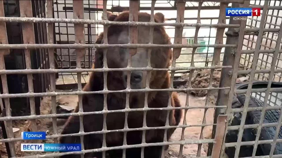 ������ �������: ������� � ������ ������� �� ������� ��������� � �������