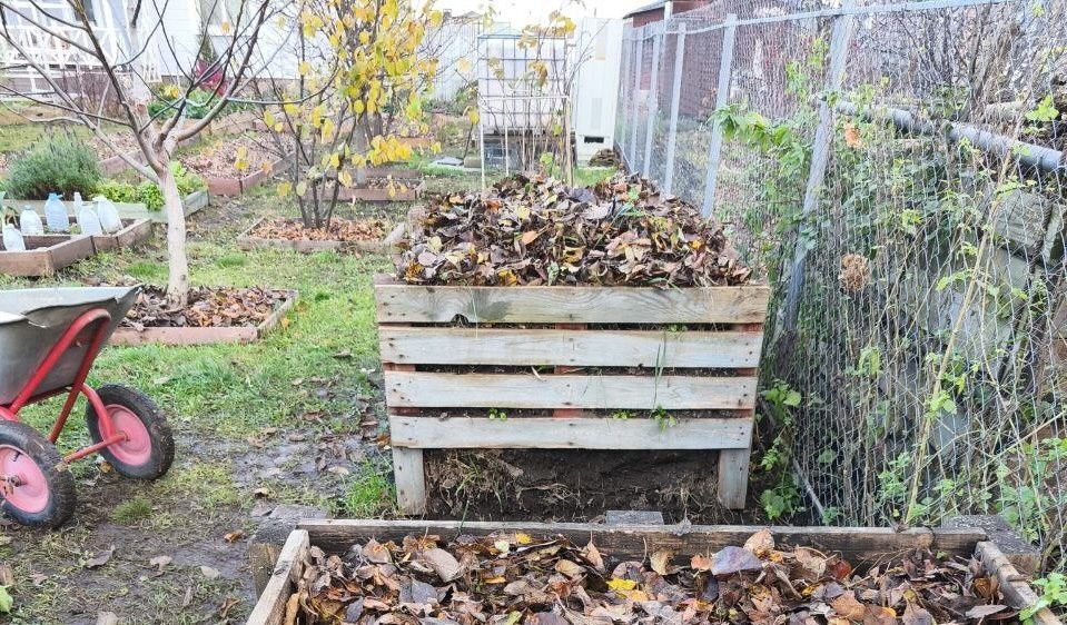 ���������� ������� ������� � ����: ��� �� ������ ������� � ������� ���