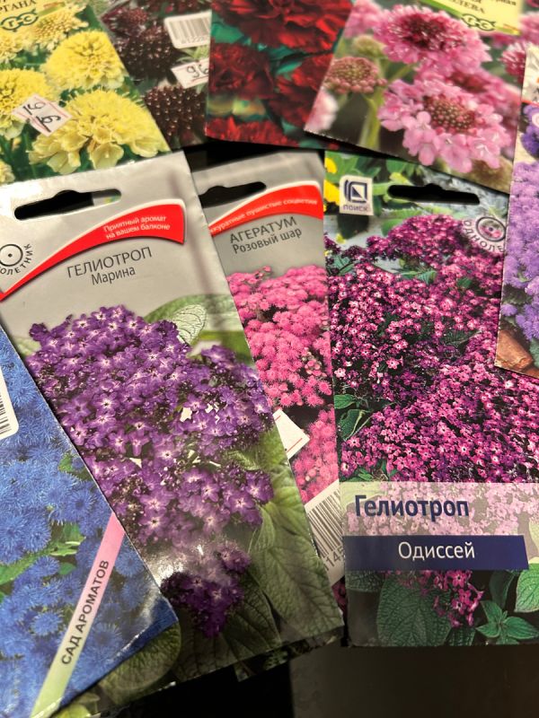 ������ � �������: ����� ����� ������� ������� �� �����