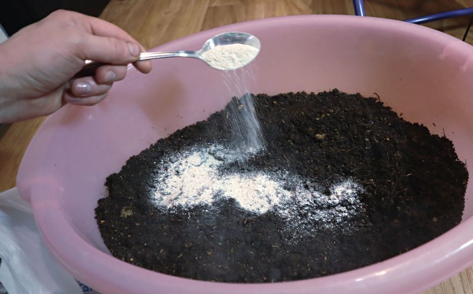 ������ ������� ������ �������� ��� �������: ������� ������