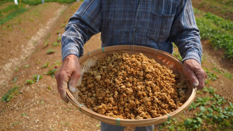 ������� ��������� ���������: ��� ��������� ������ � ������� �������� �������