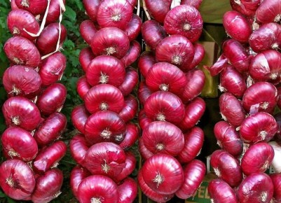 ��� ��������: ��� ��� ������� �������� ����� ��������� �������� ��� ��������