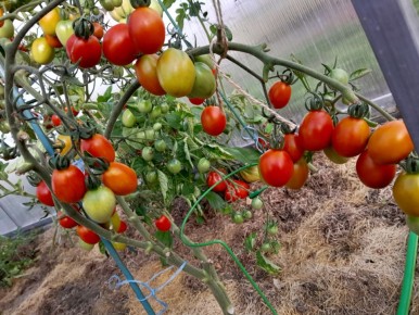 ������ ���������: ��� ������ � �������� �������� �����